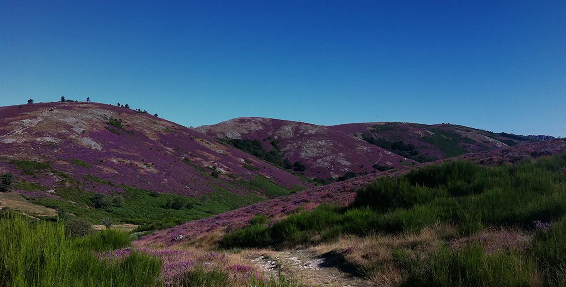 photo du massif du caroux