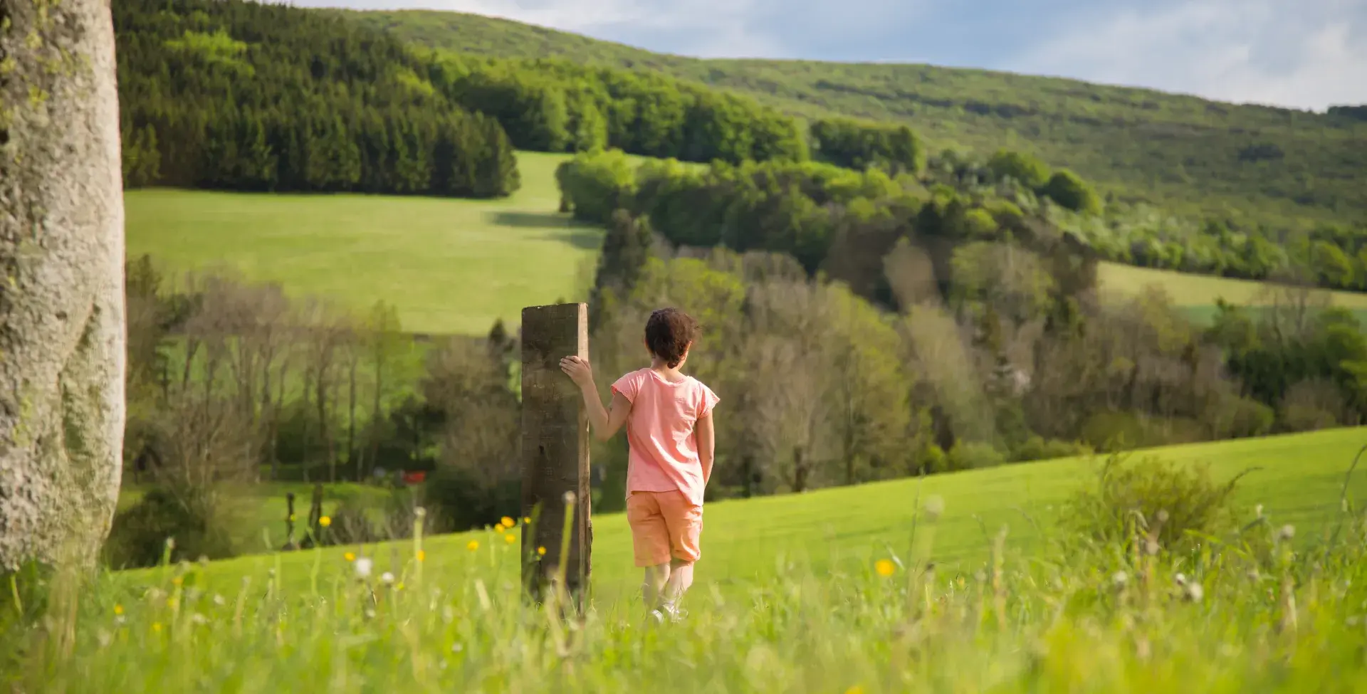 Image menhirs plantés avec un enfant de dos