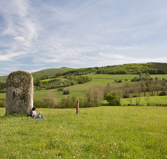 Photo d'un menhir planté dans le sol