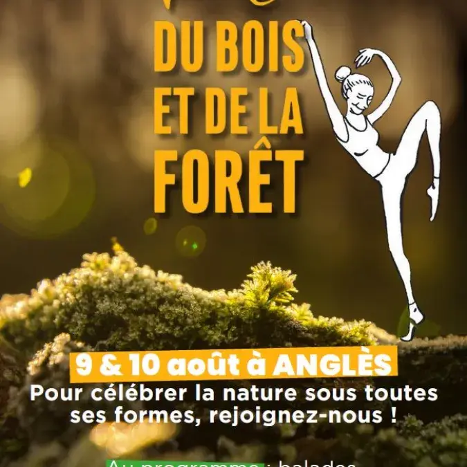 Fête du Bois et de la Forêt_Anglès