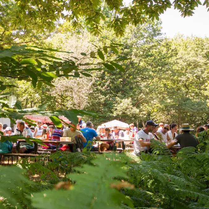 Saveurs paysannes_Nages