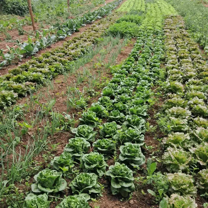 La ferme de Riveyrals