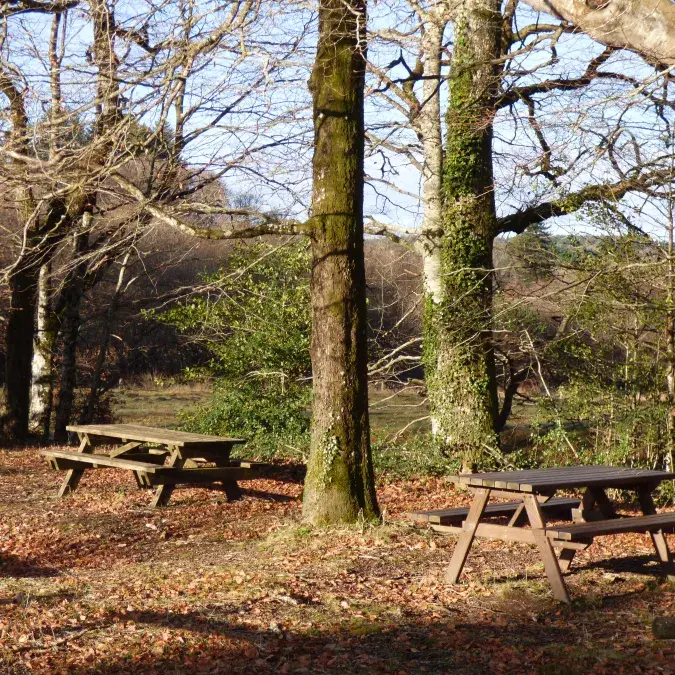 Aire de pique-nique du plan d'eau du Salvan_Anglès