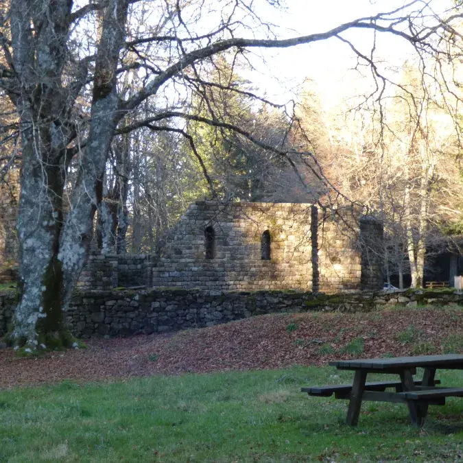 Aire de pique-nique de Saint-Pierre de l'Espinouse_Cambon-et-Salvergues