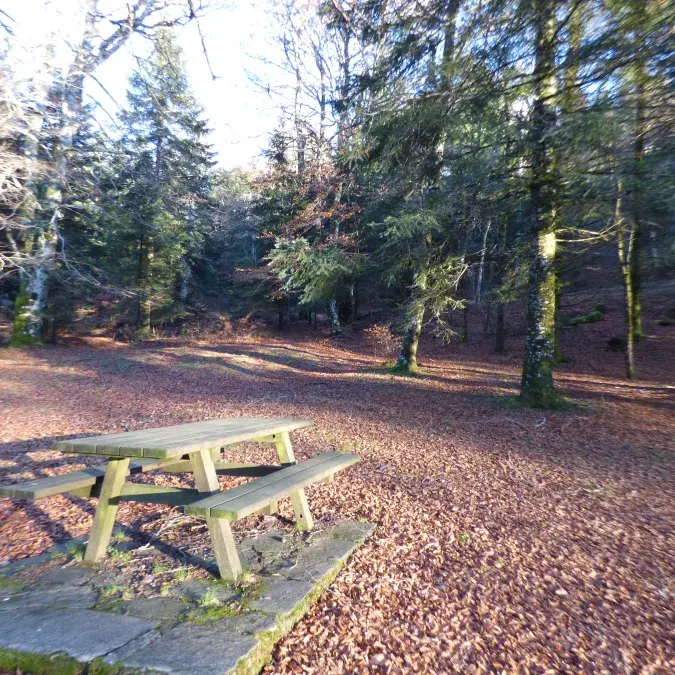 Aire de pique-nique de Saint-Pierre de l'Espinouse_Cambon-et-Salvergues