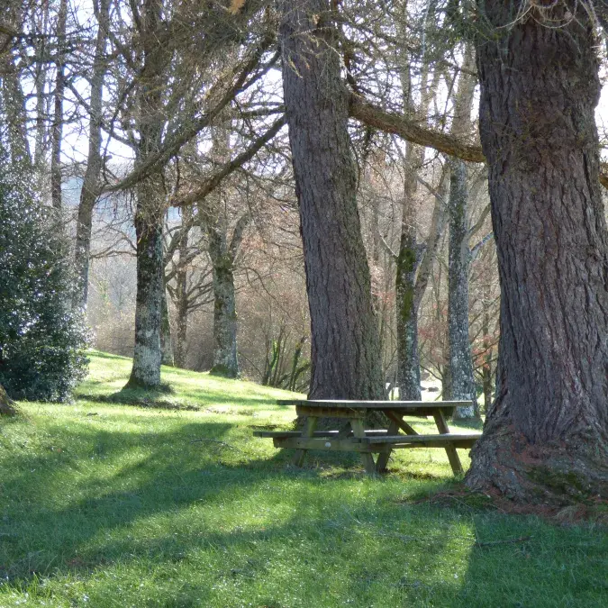 Aire de pique-nique de la base de loisirs_La Salvetat-sur-Agout