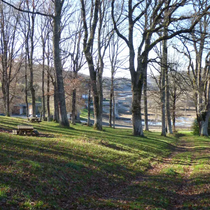 Aire de pique-nique de la base de loisirs_La Salvetat-sur-Agout