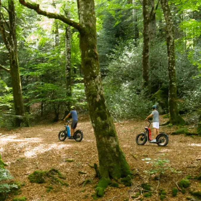 Les forêts enchantées du Moulinet en trottinettes électriques (1h30)_Le Soulié