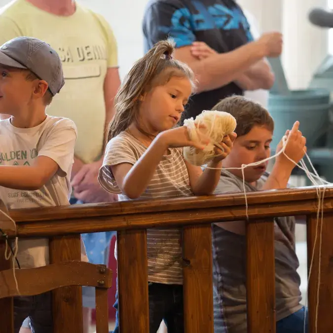 Visite commentée de la Filature Ramond_Lacaune