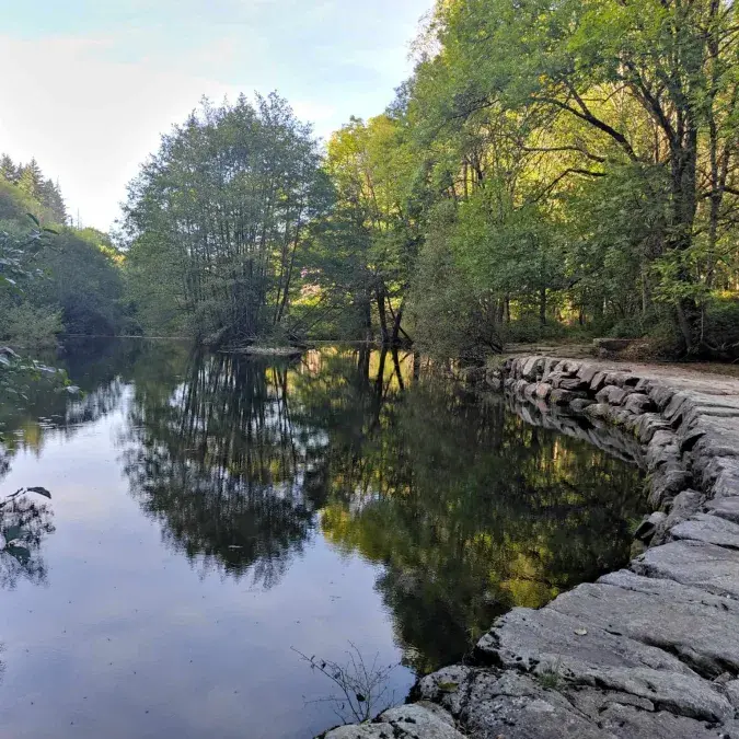 Au fil de l'Agout_La Salvetat-sur-Agout