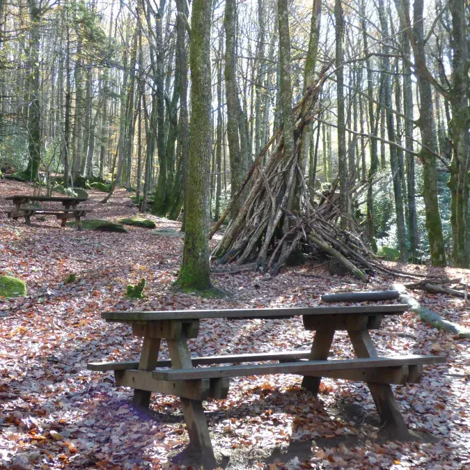 Aire de pique-nique de l'Enfant Sauvage_Lacaune