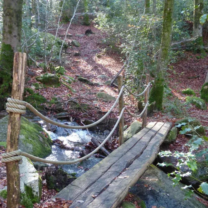 Aire de pique-nique de l'Enfant Sauvage_Lacaune