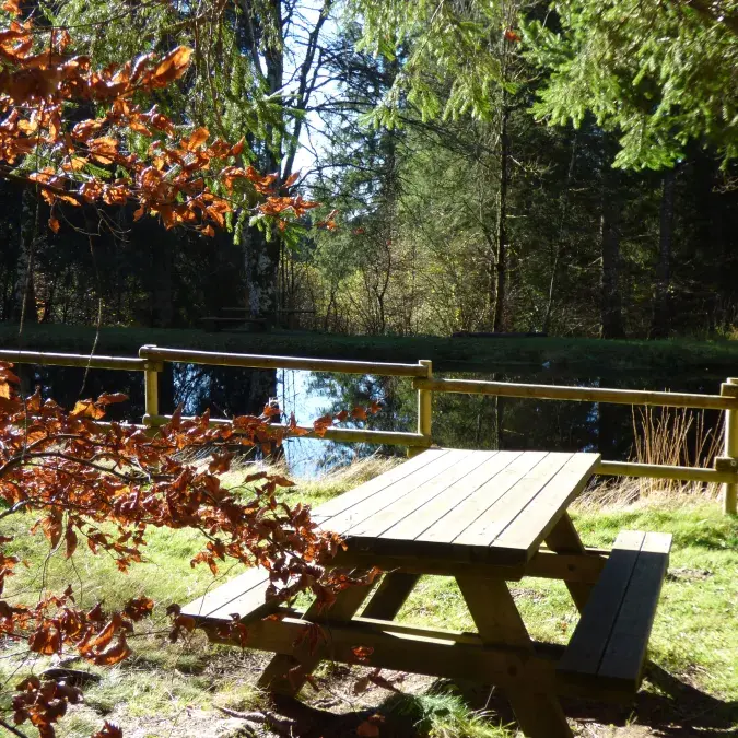 Aire de pique-nique de Poutras_Lacaune