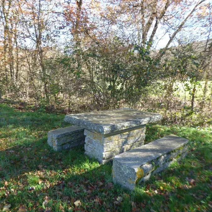 Aire de pique-nique (route de Murat)_Murat-sur-Vèbre