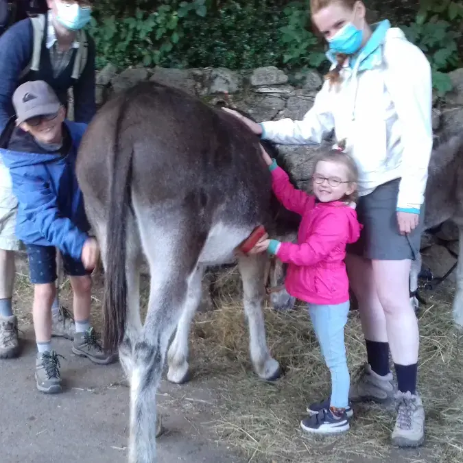 Randonnée avec des ânes_Fraisse-sur-Agout