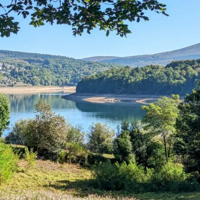 Entre lac et forêts, en trottinette électrique_Nages