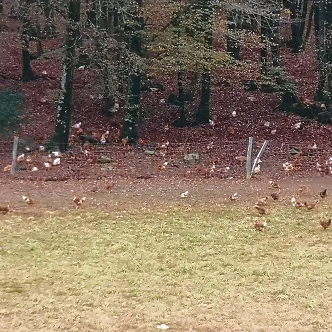 GAEC du Faydas_Anglès