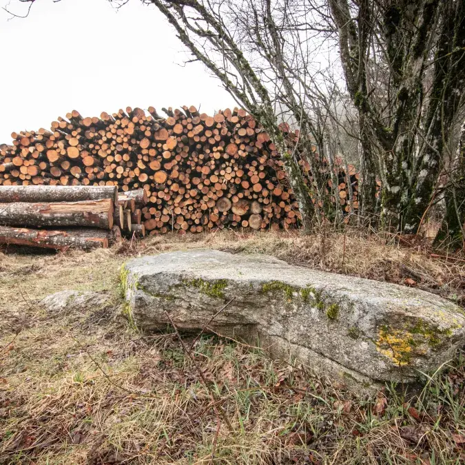 Statue-menhir du col de la Frajure_Nages