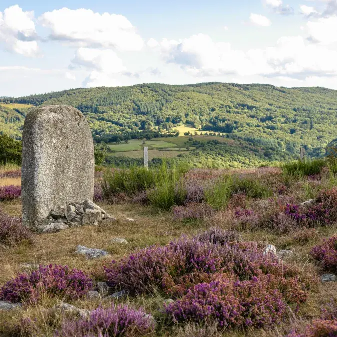 Statue Menhir de Rouiregros_Nages