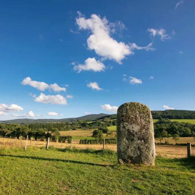 Pierre Plantée dans son environnement naturel.