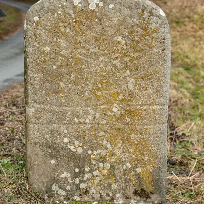 Vue de la statue-menhir de Rieuviel 1 au bord de la route