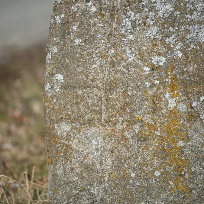 Détail de la face gravée de la statue-menhir de Rieuviel (2)