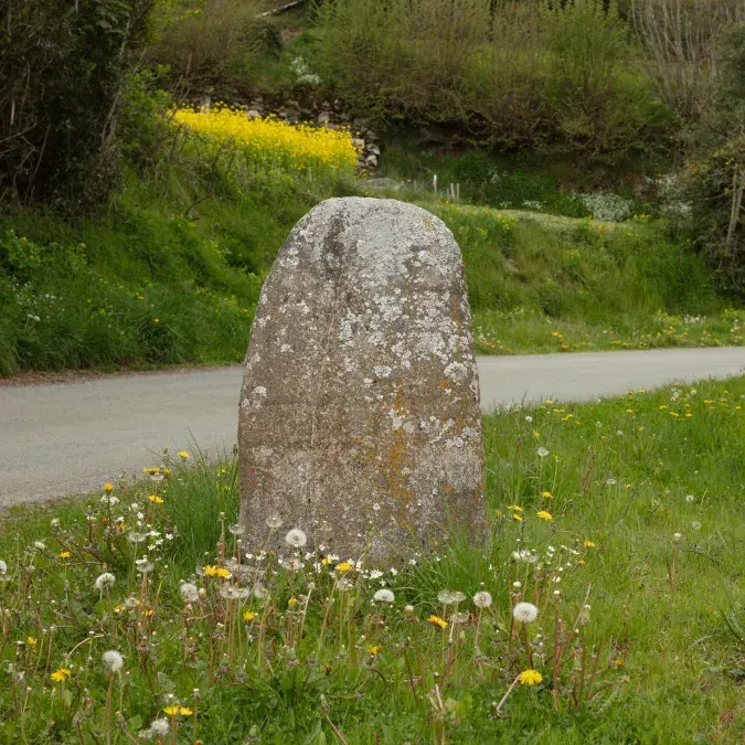 Statue-menhir de Rieuviel (2) dans son environnement naturel