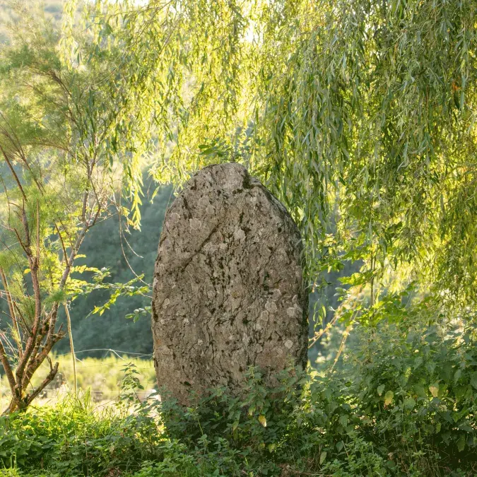 Face principale de la statue-menhir