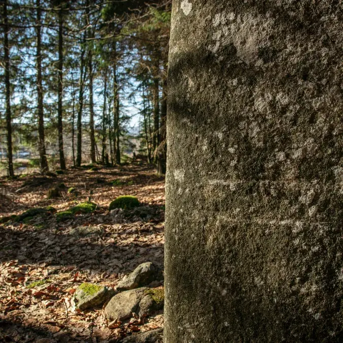 Face principale de la statue-menhir