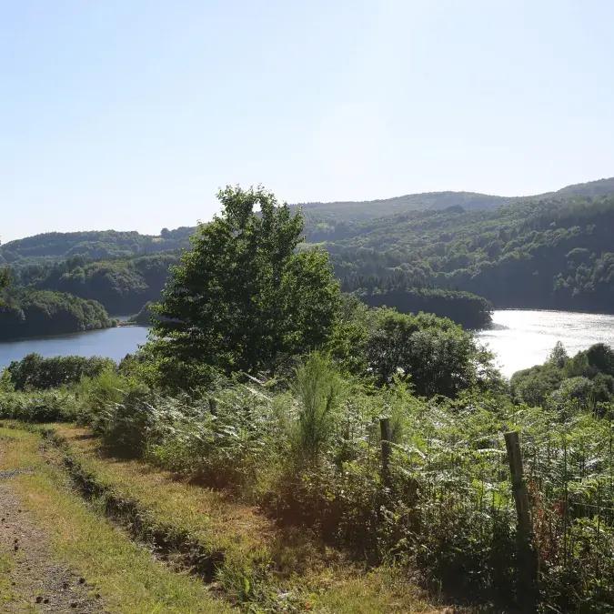 Le Carpe Diem - Fendrich