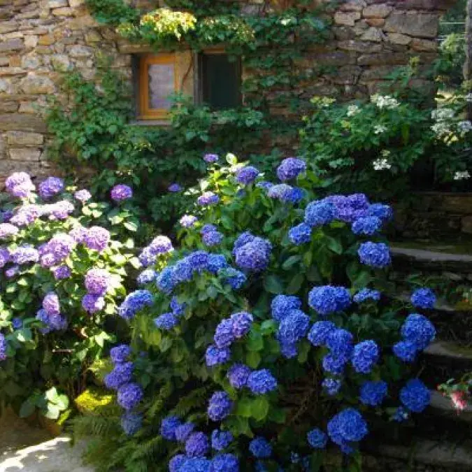 Magnaldi - Gîte du Caroux