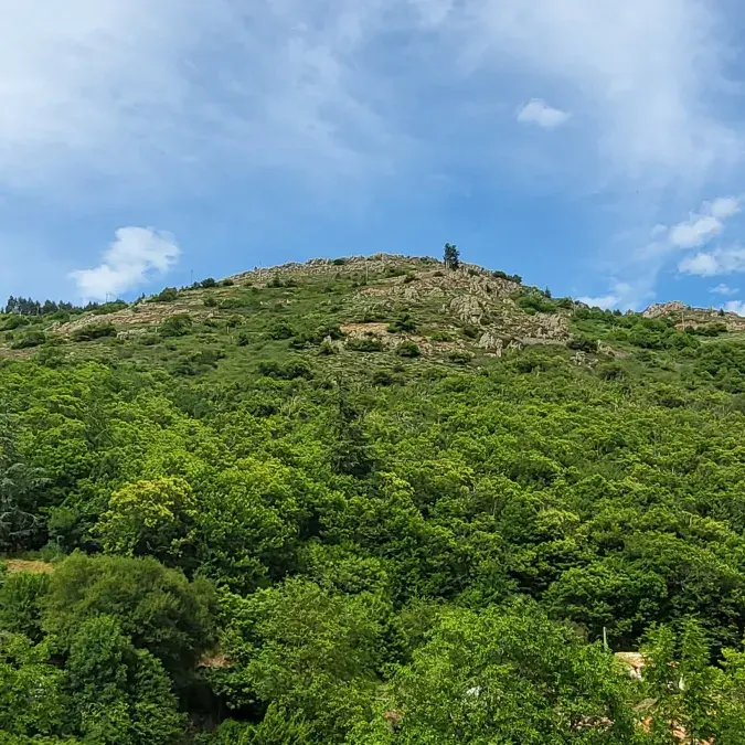 La bergerie de Marinou_Fraisse-sur-Agout