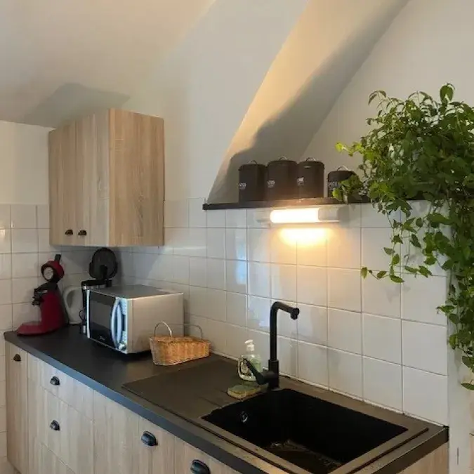 METAIRIE DE CALMELS_Lacaune