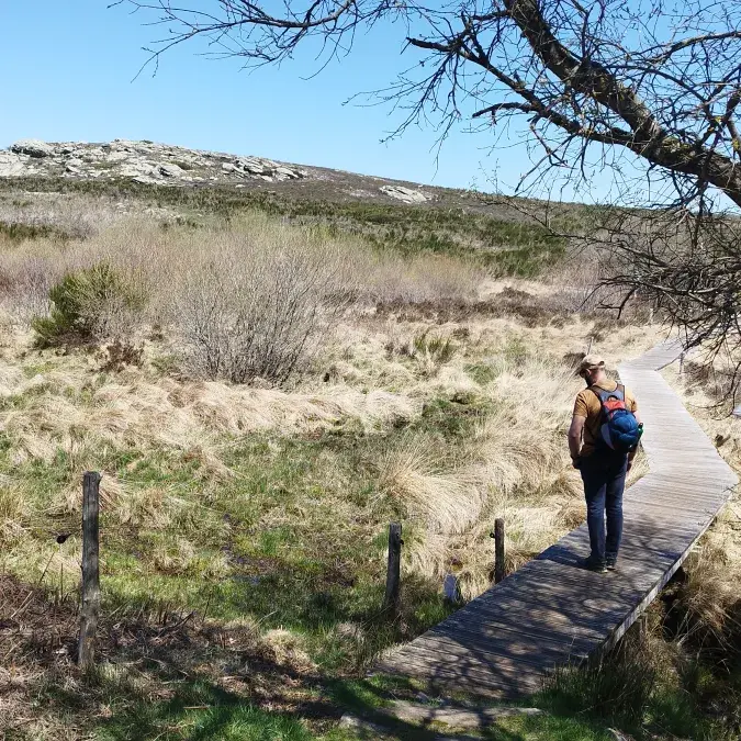 Le sommet du Caroux_Rosis