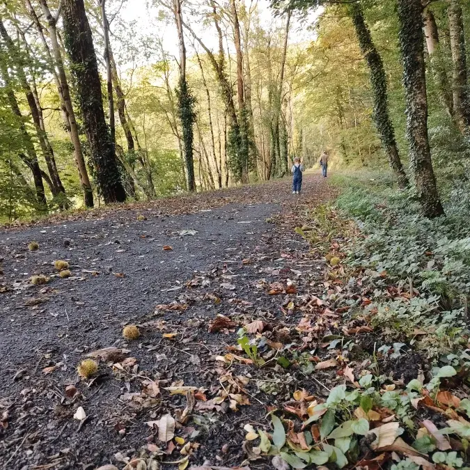 Voie Verte du Petit Train_Lacaune