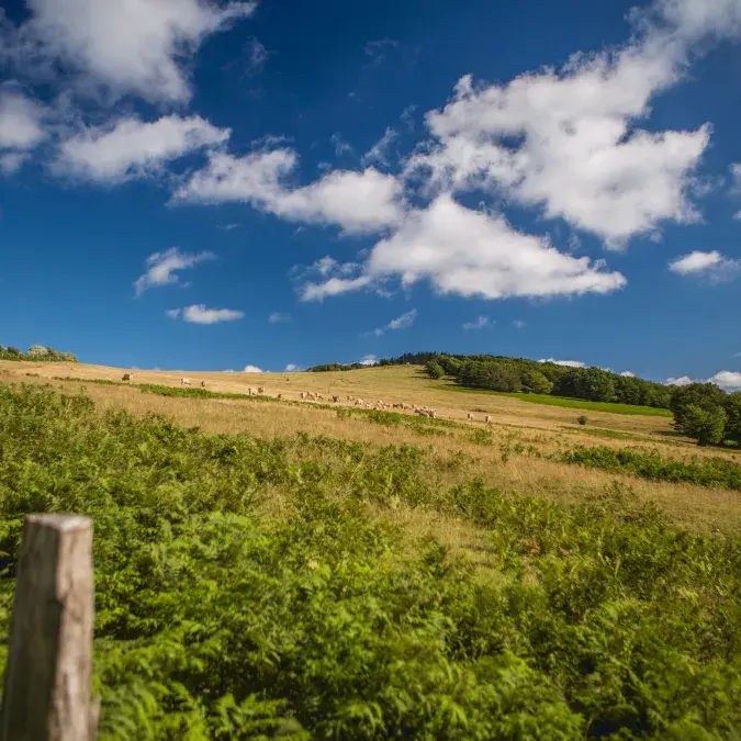 Balade en VTT, à Picotalen