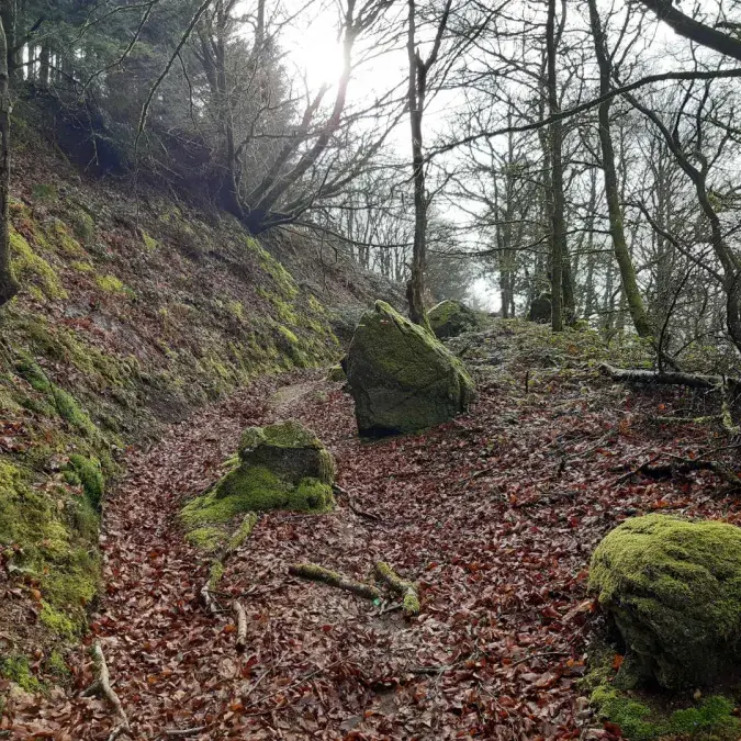 Montaigut - Murat-sur-Vèbre, Tarn - G128 Gîtes de France Tarn