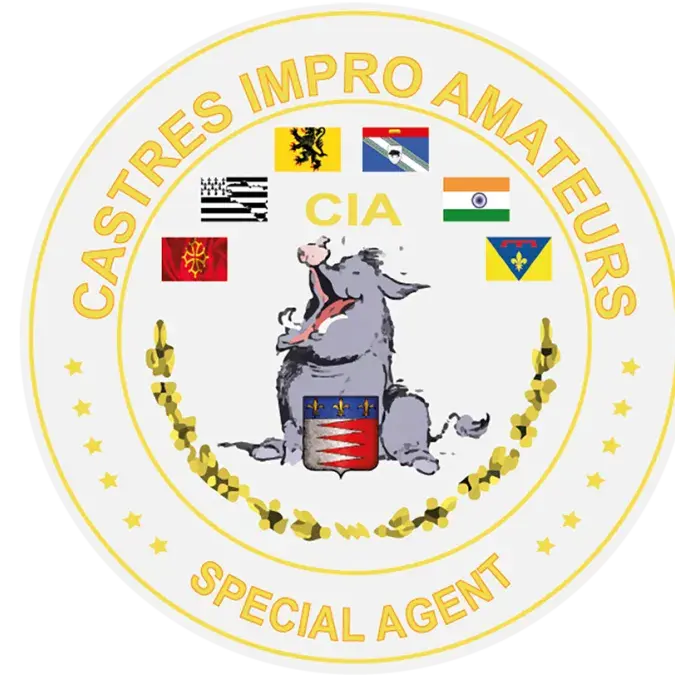 Stage d'impro - Festival du théâtre amateur_Lacaune