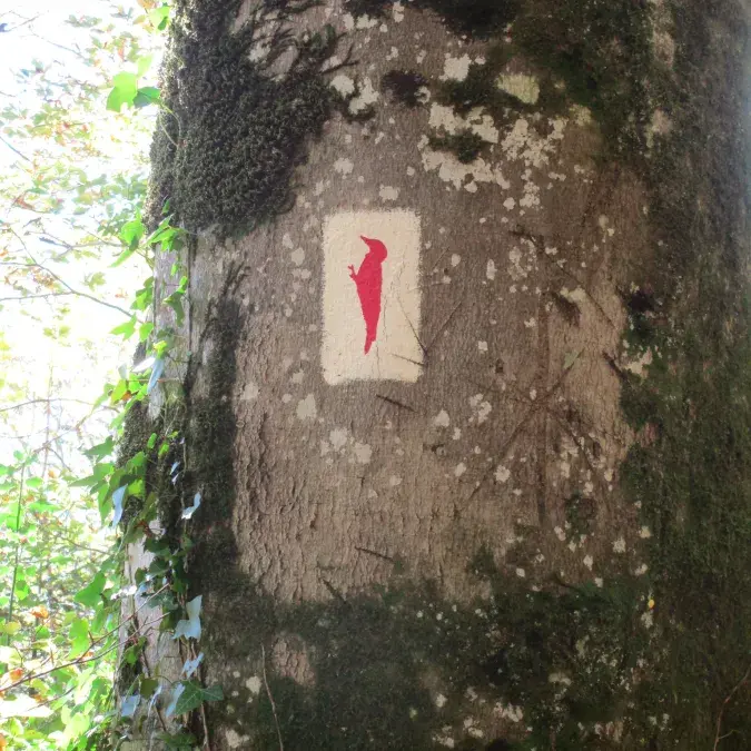 Sentier de découverte de Calmels