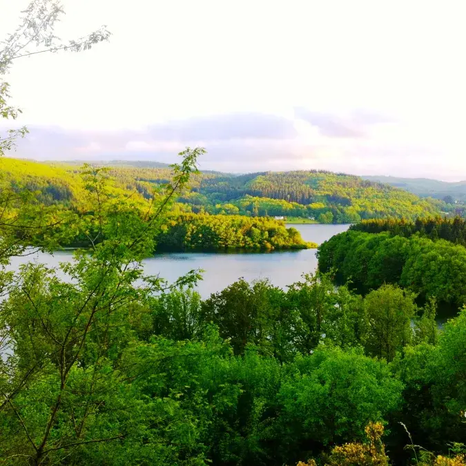 Îles Rebondines