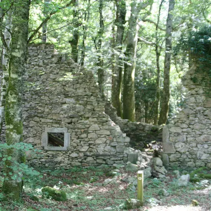 Les Pansières