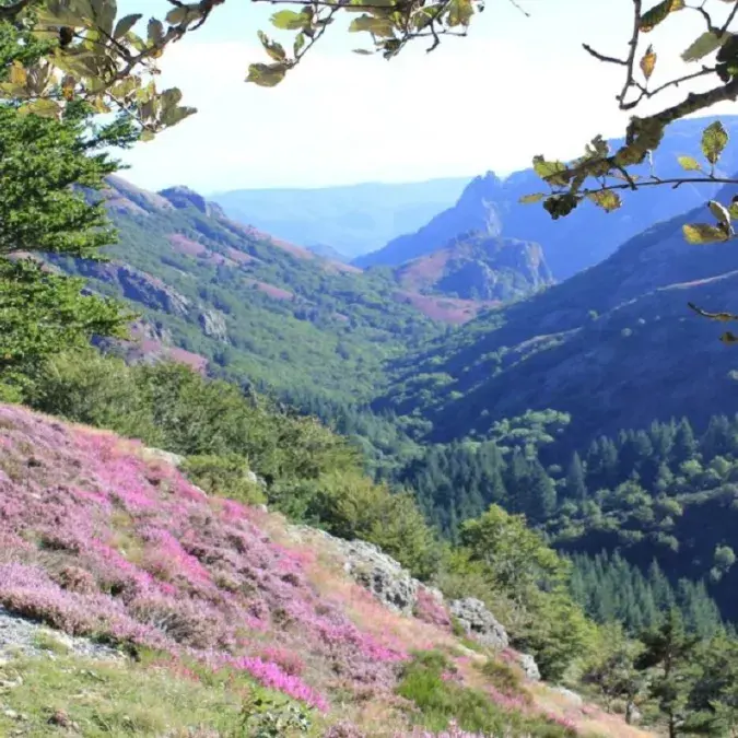 Caroux - espinouse