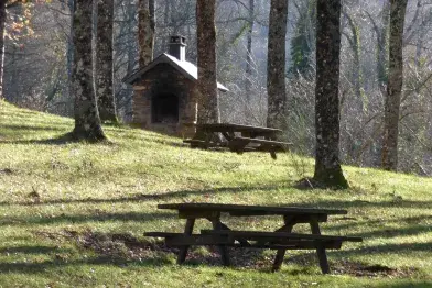 Aire de pique-nique de la base de loisirs_La Salvetat-sur-Agout