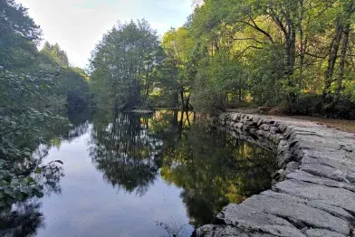 Au fil de l'Agout_La Salvetat-sur-Agout