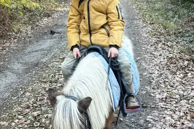 Chasse au trésor poney 