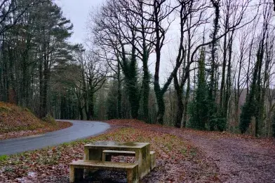 Aire de pique-nique de La Resclause_La Salvetat-sur-Agout