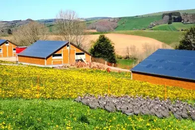 Ferme des Longagnes_Murat-sur-Vèbre