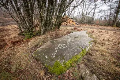 Statue-menhir du col de la Frajure_Nages
