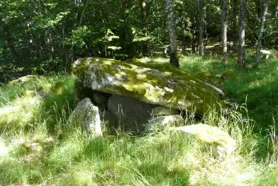 Dolmen de castelsec