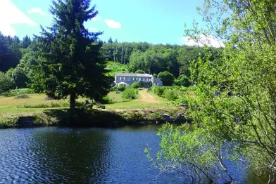 Gîte au coeur des bois